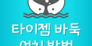 타이젬 바둑 설치 방법