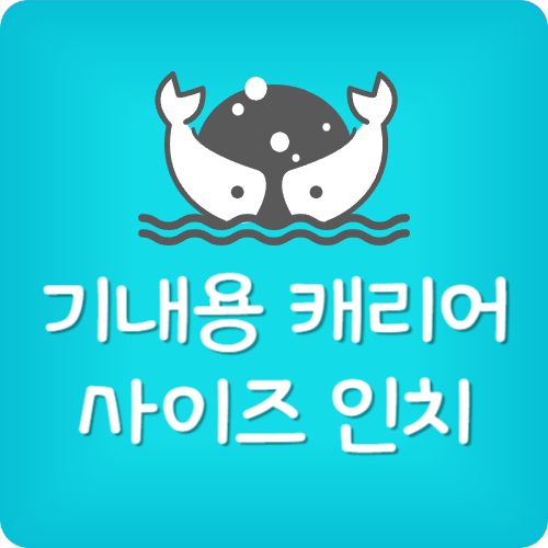 기내용 캐리어 사이즈