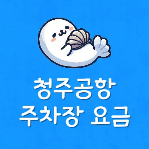 청주공항 주차장 만차시 주차