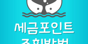 국세청 세금포인트 조회 및 사용처