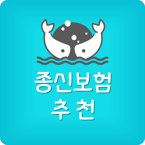 하나생명 단기납 종신보험
