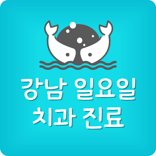 서울 치과 주말 진료