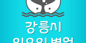 강릉시 일요일 문여는 병원 주말 휴일에도 영업하는 병원