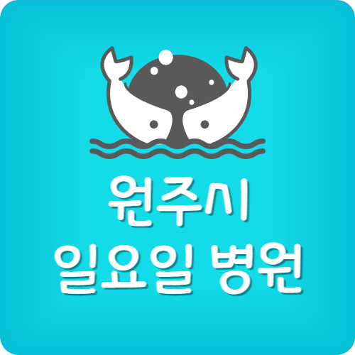 원주 일요일 치과