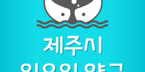 제주시 일요일 약국 노형동 아라동 연동 약국 문여는곳