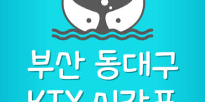 부산역에서 동대구역 가는 KTX 시간표 가격