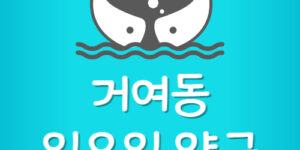 송파구 거여동 일요일 문여는 약국 주말 운영 하는 곳