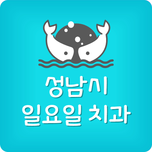 성남 치과 추천