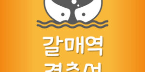 지하철 경춘선 갈매역 급행 시간표