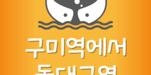 구미역에서 동대구역 대경선 지하철 시간표