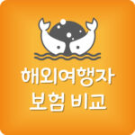 가장 저렴한 해외여행자보험 가입하는법 제일 싸게 드는법