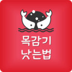 병원 안가고 목감기 빨리 낫는법 목이 따가울때 음식 대처법