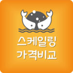 주변 스케일링 가장 저렴한 치과 스켈링 비용 제일 싼 곳 찾기