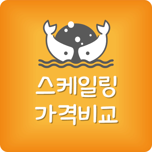 스케일링 가격 보험없이
