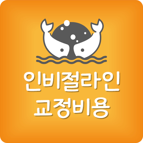 인비절라인 교정 후기