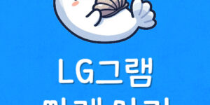 엘지 Gram 가격 비교 후 LG 그램 프로 노트북 싸게 사는 팁