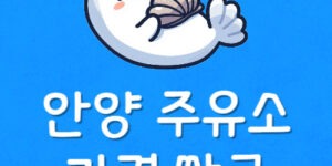 안양 주유소 저렴한곳 안양 LPG 가격 싼 24시 세차장 찾으면